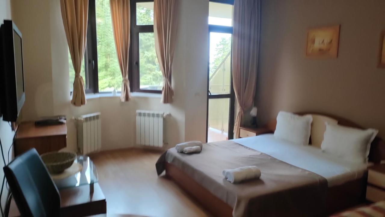 Angel apartment in Borovets - B&B Borovets