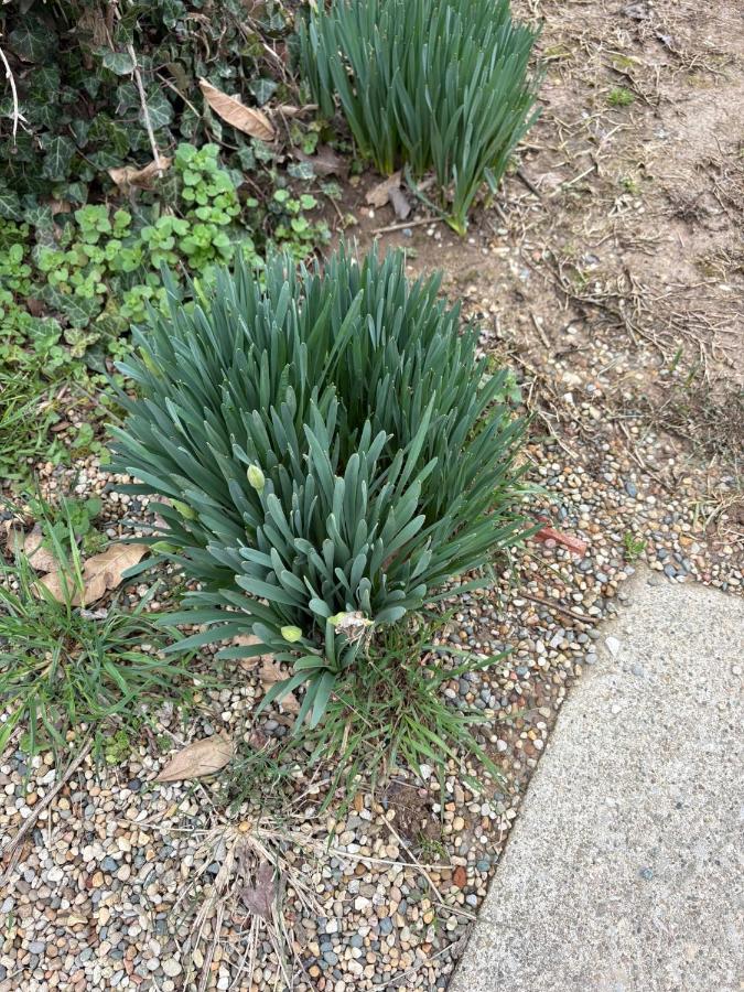 Sonnys place - Ferienwohnung Washington