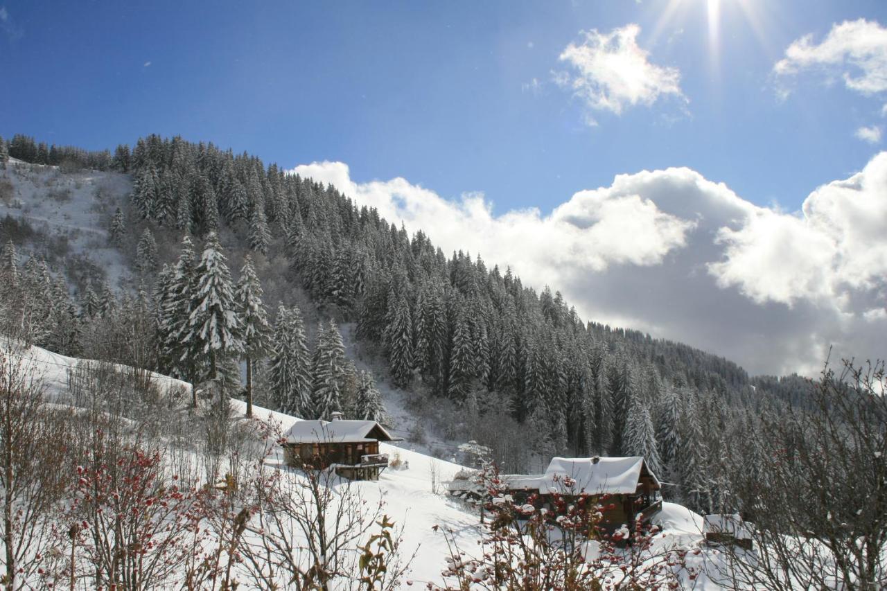 Deluxe Double or Twin Room with Mountain View