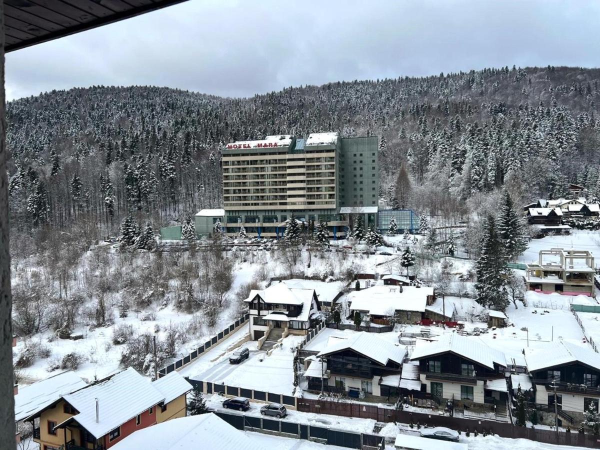 Magic Manor Sofia - Free Parking and Terrace - B&B Sinaia