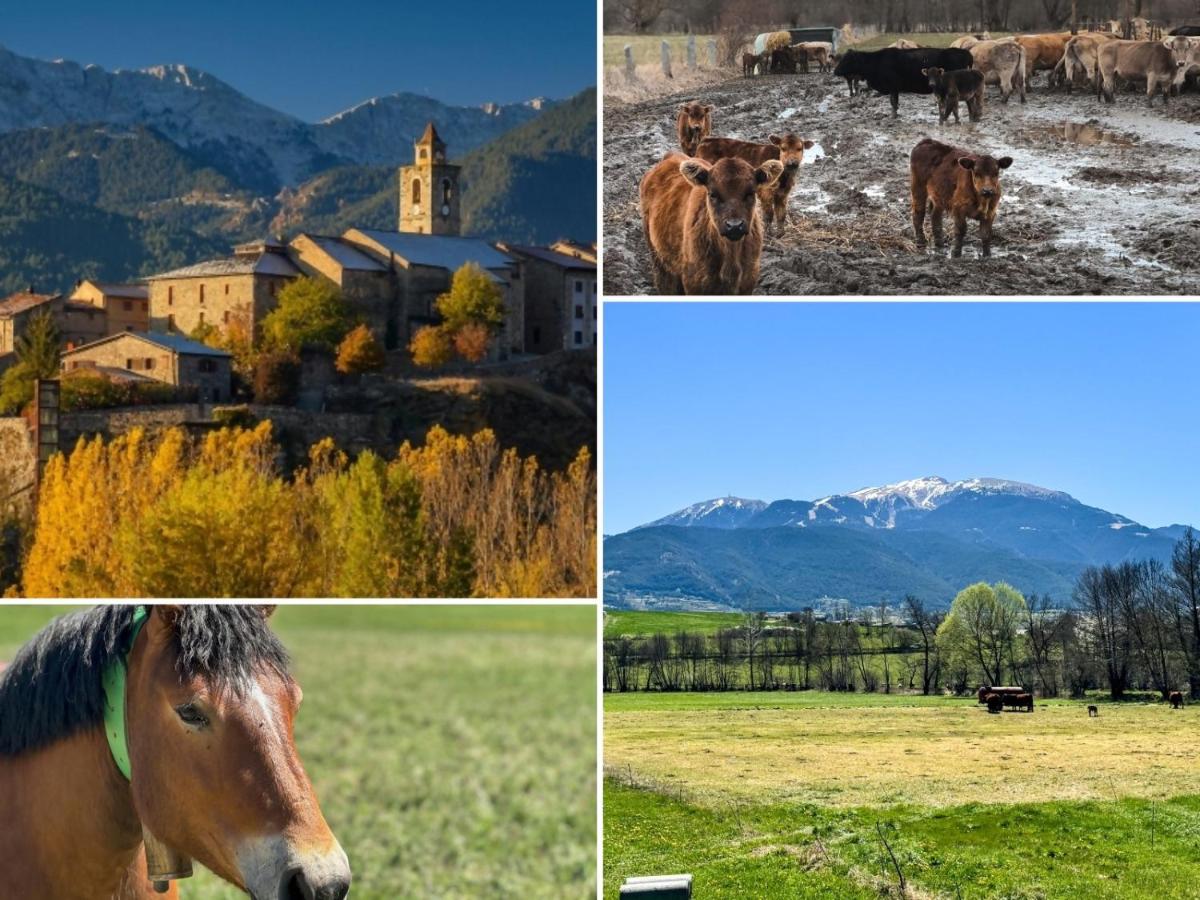 Masía Cal Kenyon - B&B Bor