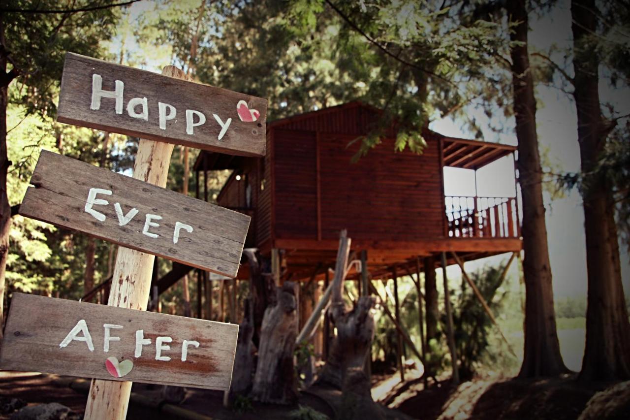  Honeymoon Tree House 