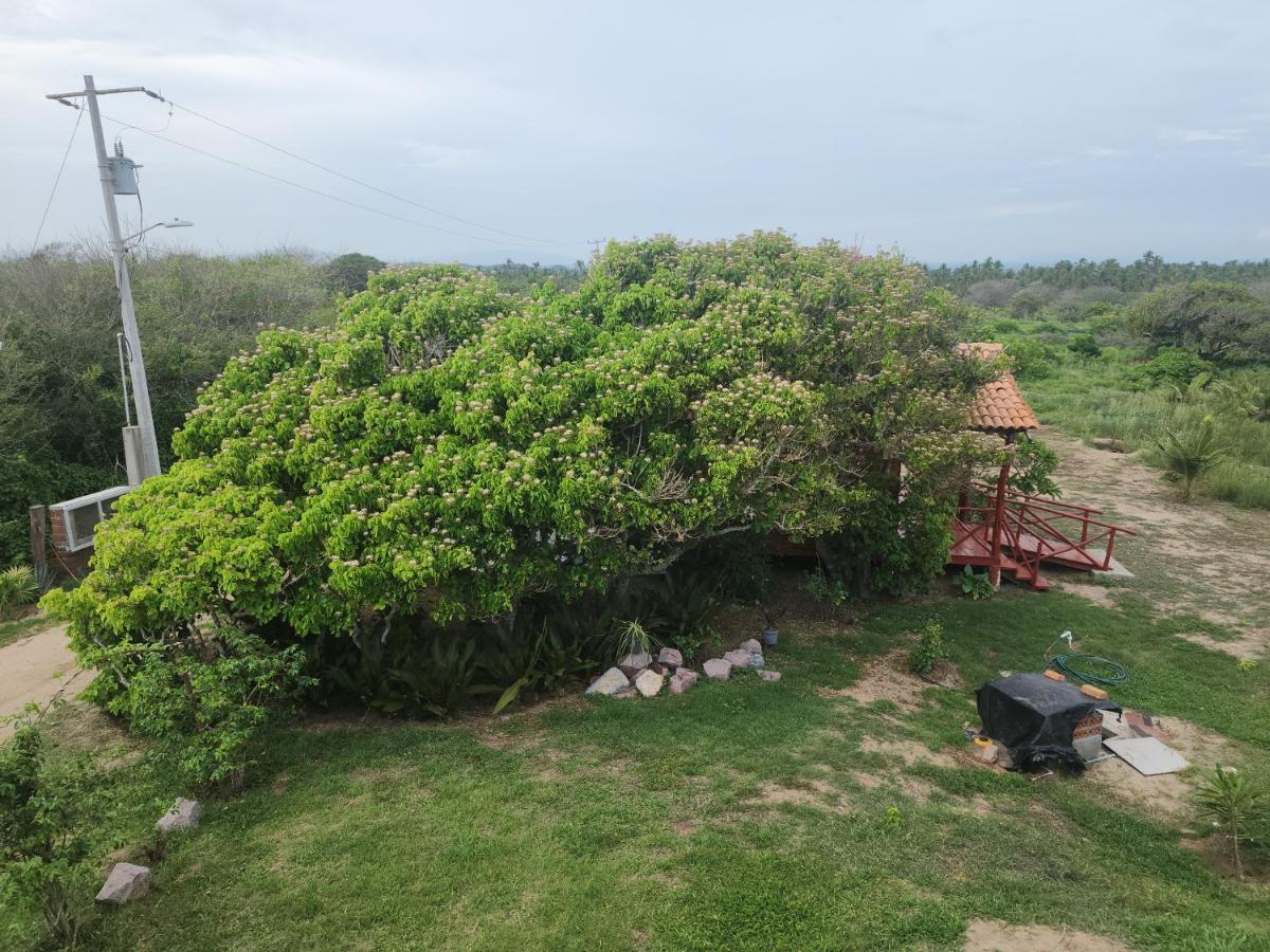 Cocolisso - B&B El Coco