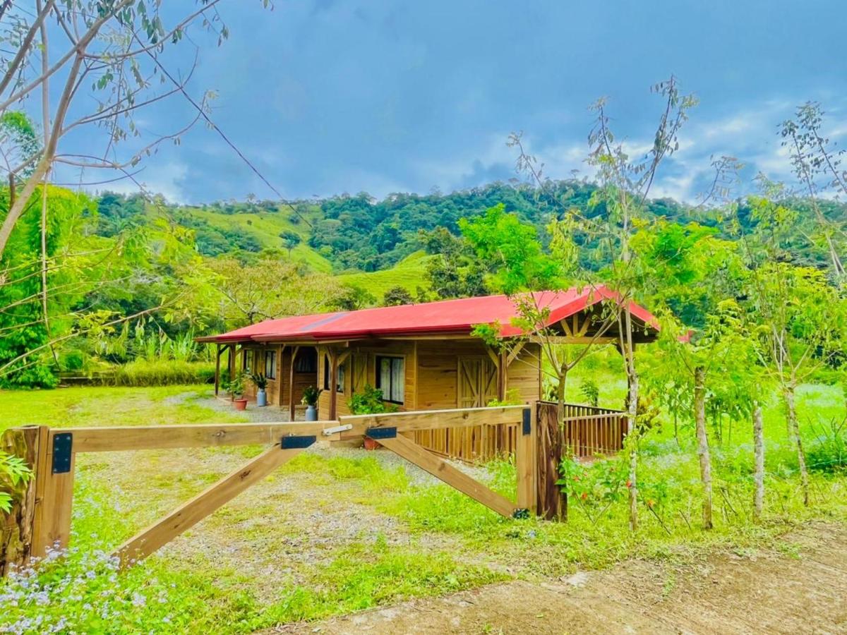 Cabañas Bambú Pérez Zeledón - B&B San Isidro de El General