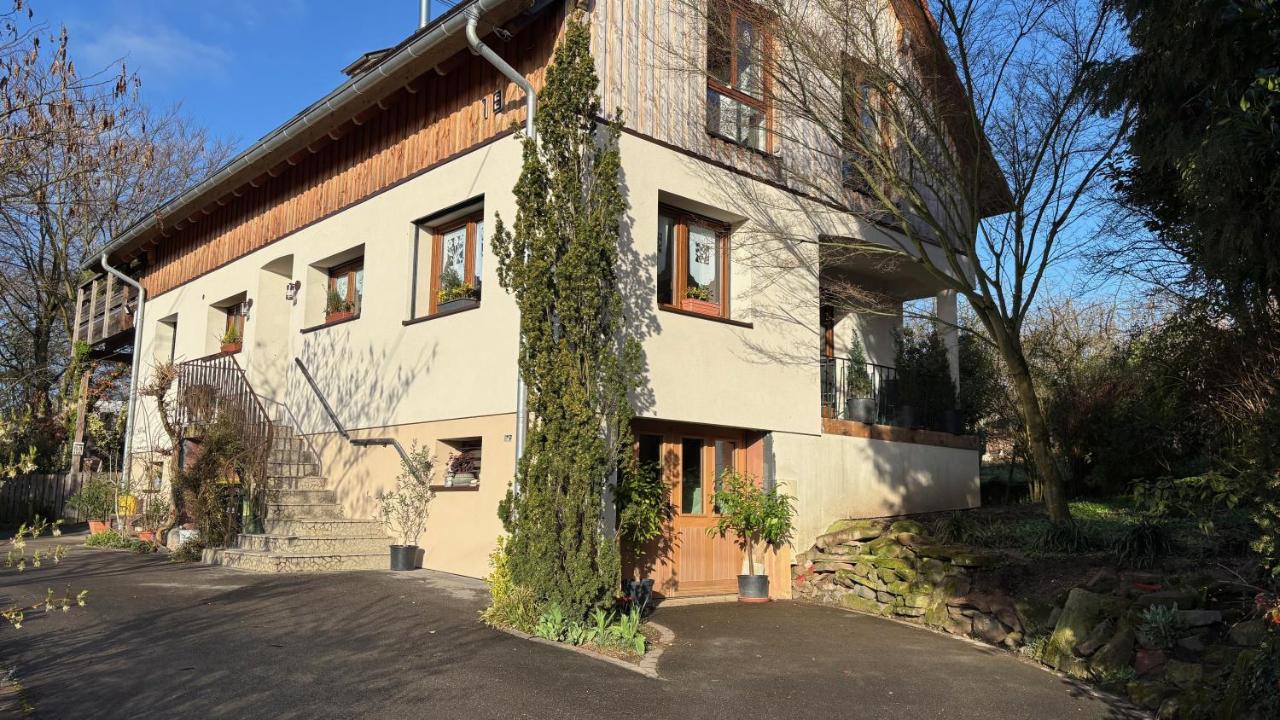 Gite du Ried - Ferienwohnung Bischwiller