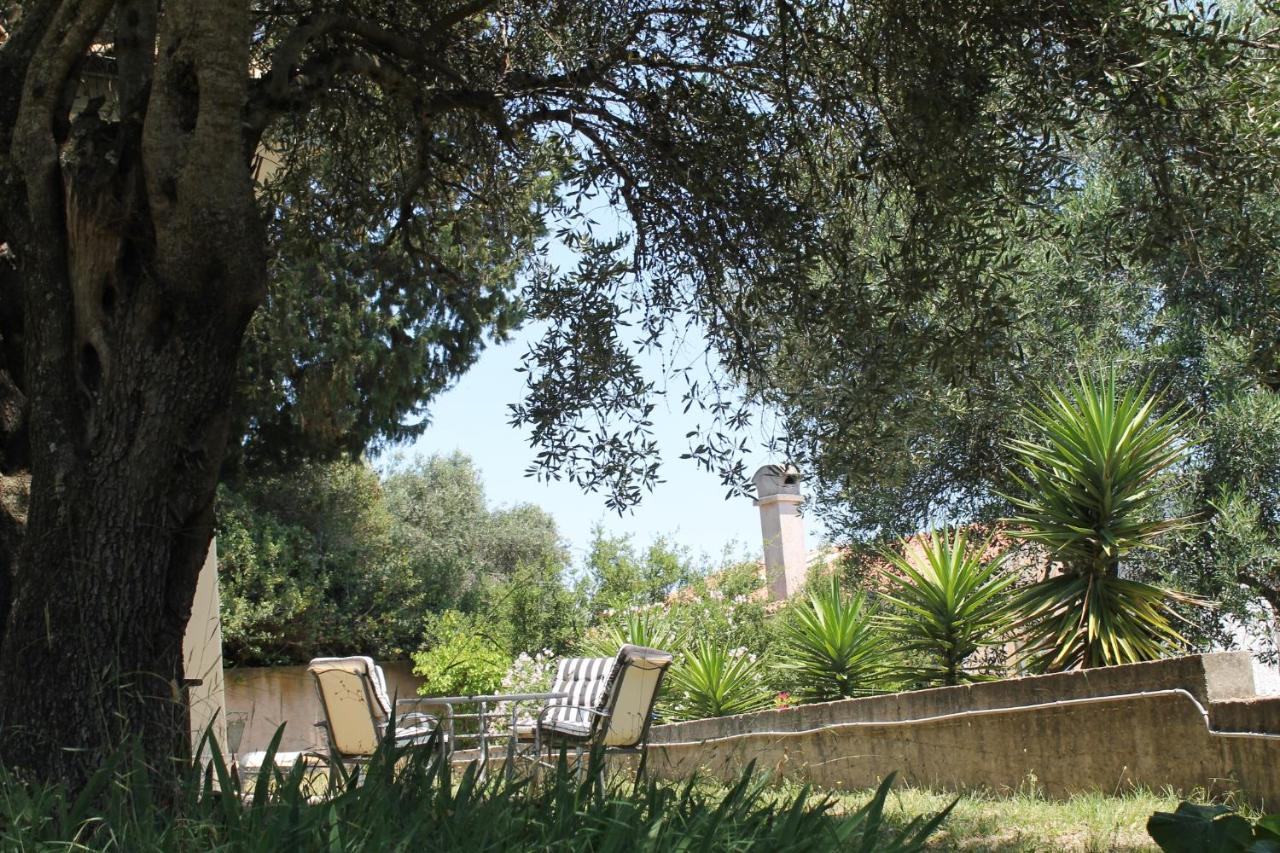 Olive House - B&B Stavrós