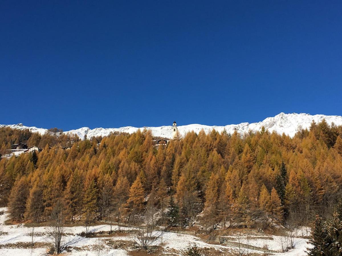 Appartement avec Vue sur la Montagne