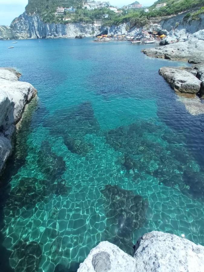 Il Nido di Chiara - Ferienwohnung Formia