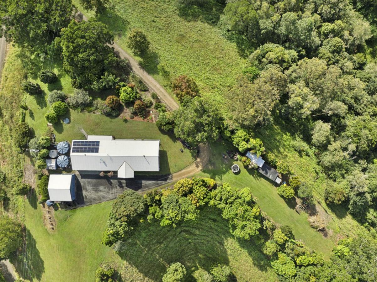 Brenji Rainforest Seclusion at Maleny - Ferienwohnung Greymare