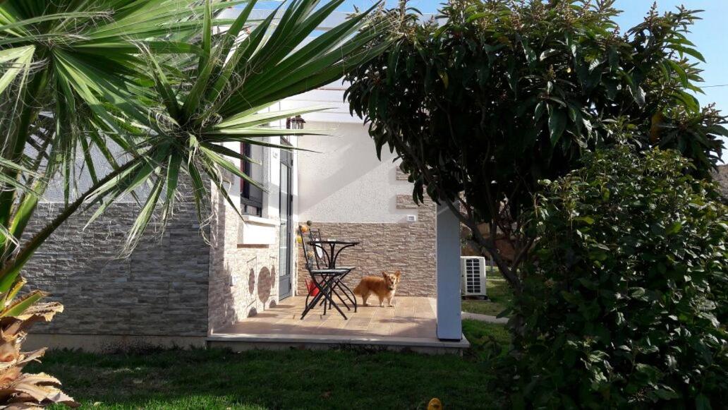 Mango Holiday Rooms - B&B Had Nes