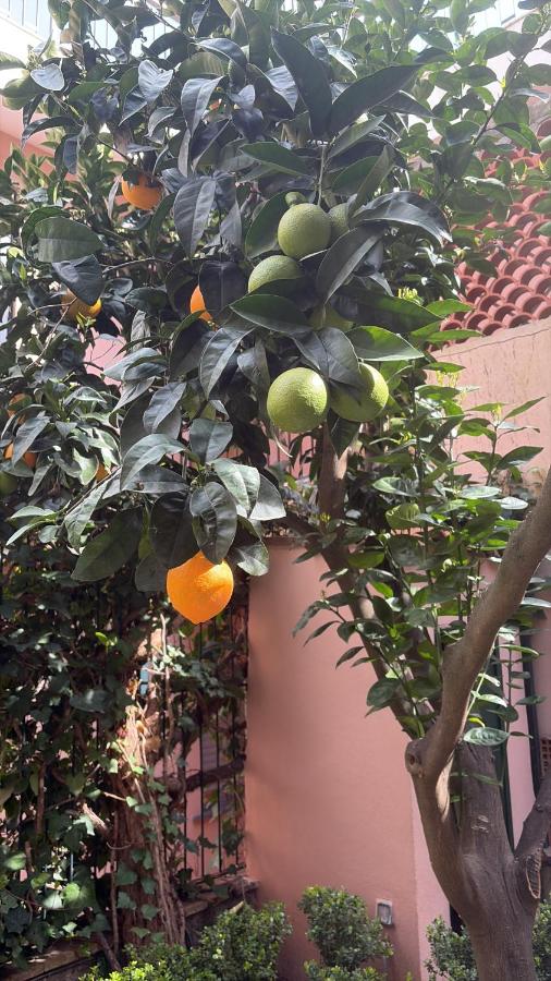 Home Garden, appartamento con giardino privato - B&B Taormina