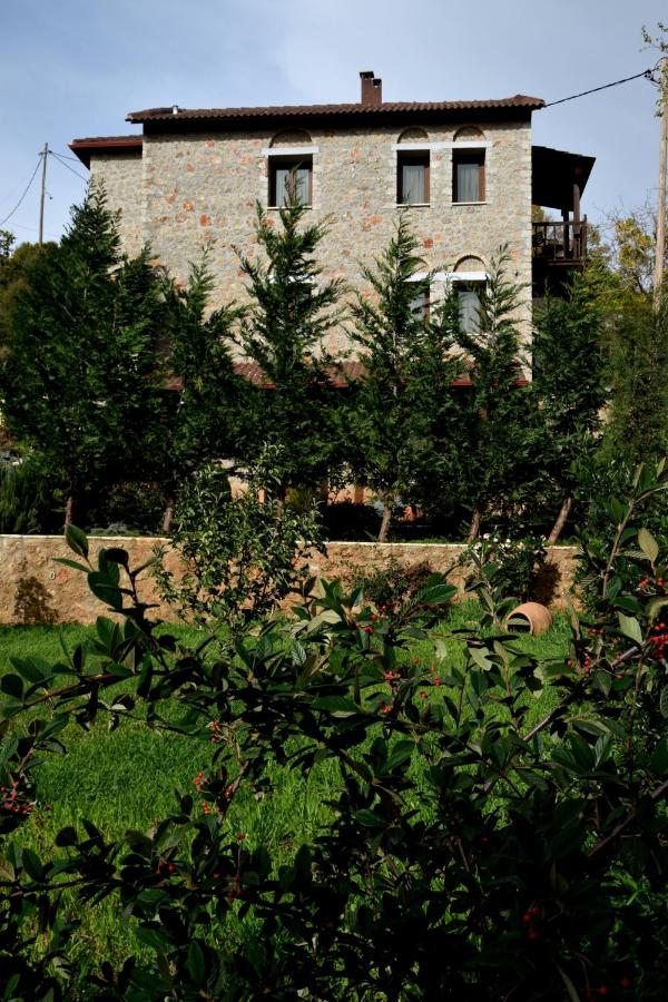 Trikalon Muses Art Suites - Bed and Breakfast