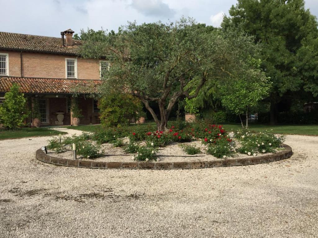Casa Cardinala - Chambres d'hôtes Gambellara