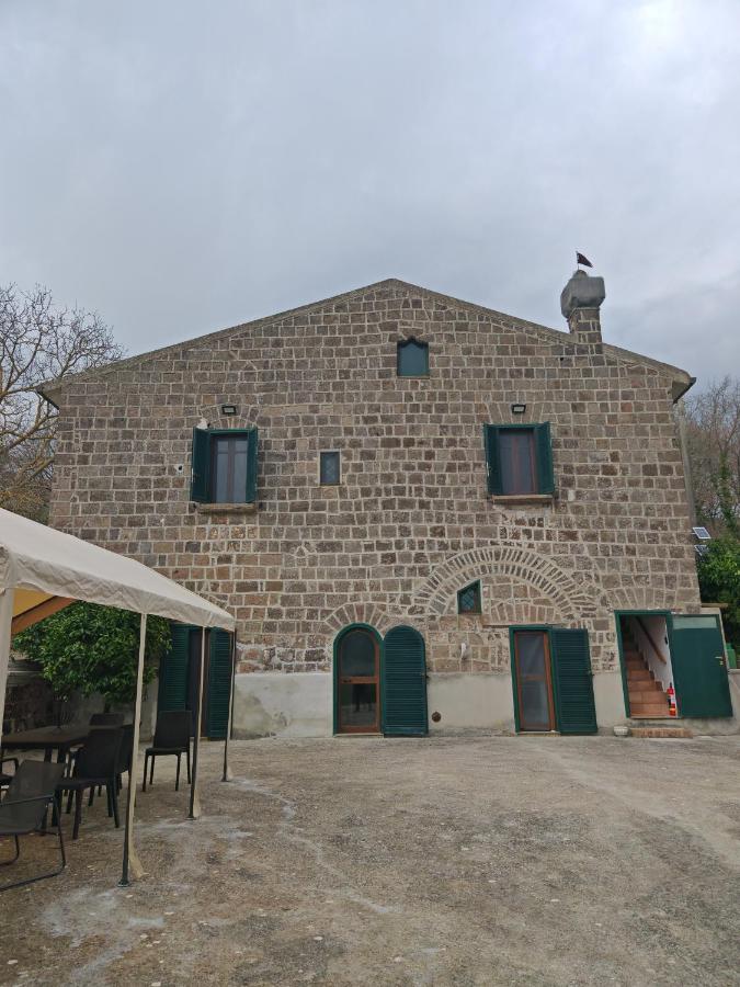 Gli Ulivi del Nonno - Casale immerso nel verde a pochi chilometri dalla Reggia - - Chambres d'hôtes Caserte
