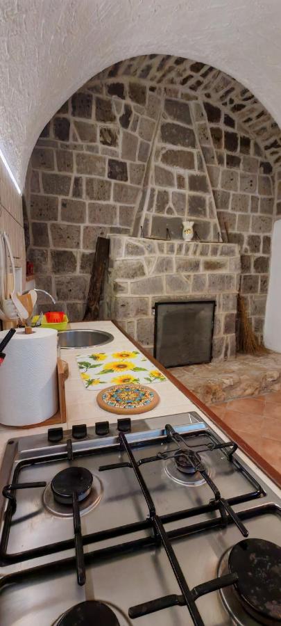 Gli Ulivi del Nonno - Casale immerso nel verde a pochi chilometri dalla Reggia - - Chambres d'hôtes Caserte