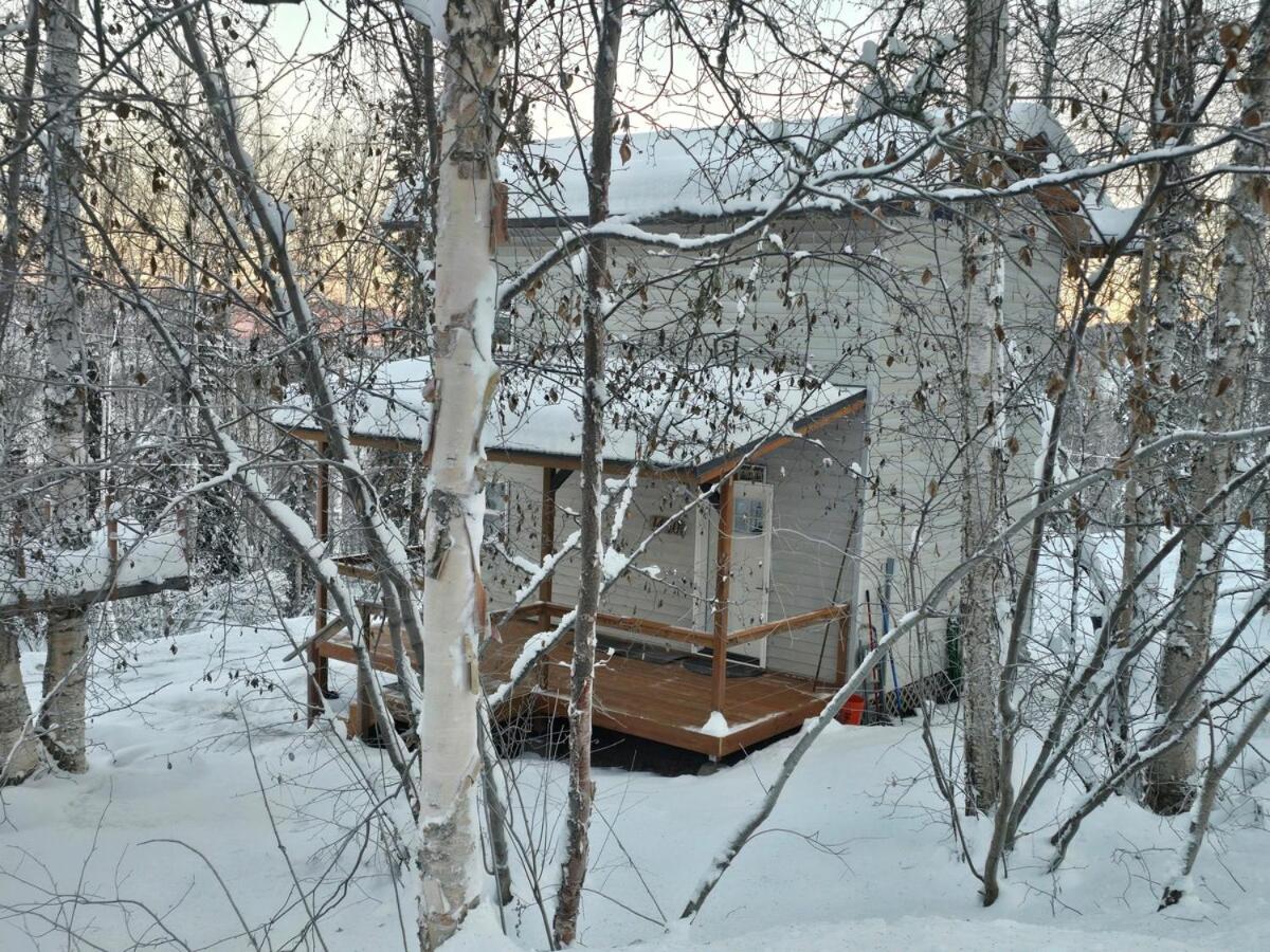 Fairbanks Hillside Cabin with Northern Lights Views - Bed and Breakfast Fairbanks