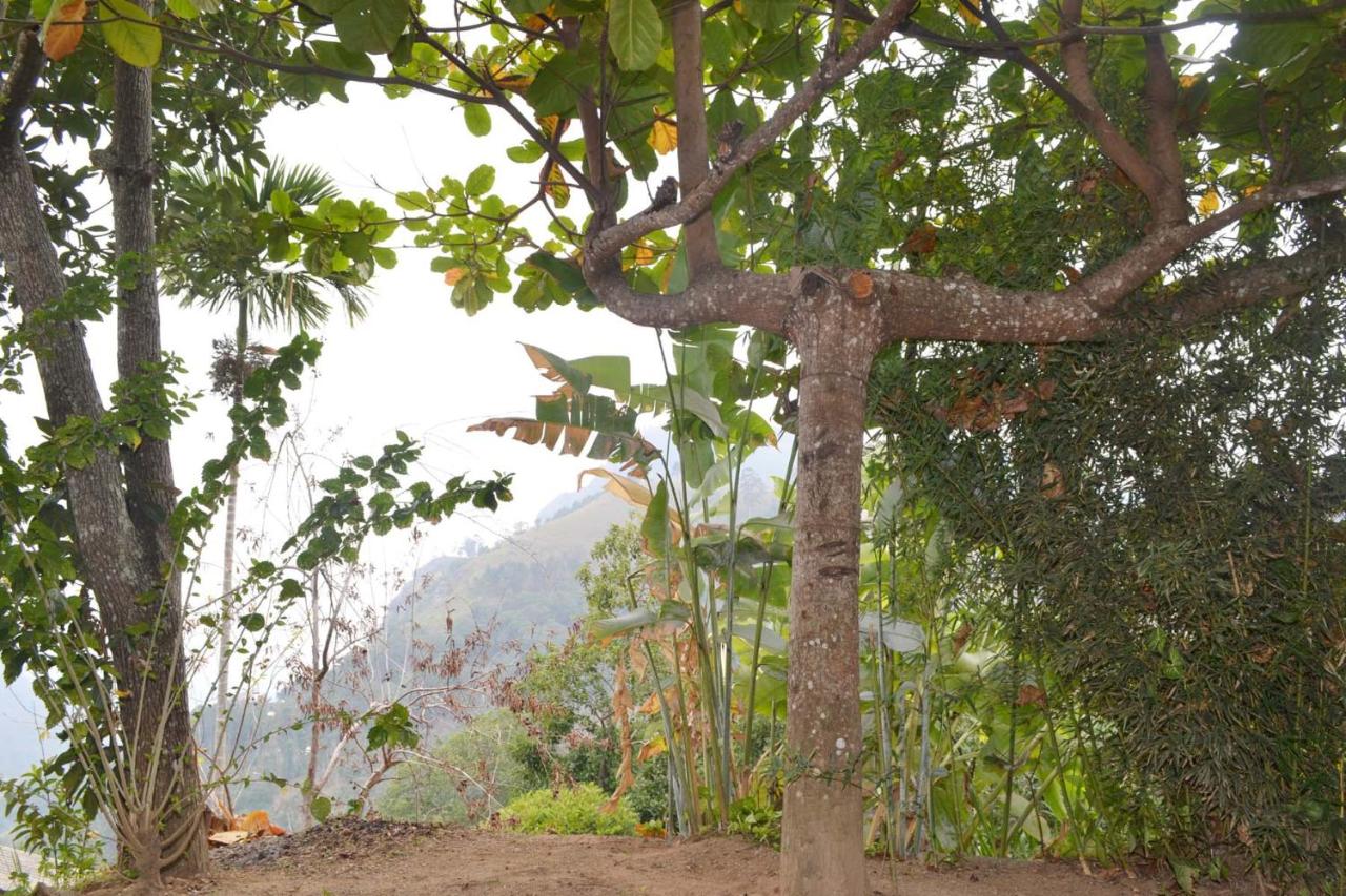 Heavens Seven - B&B Ella Town