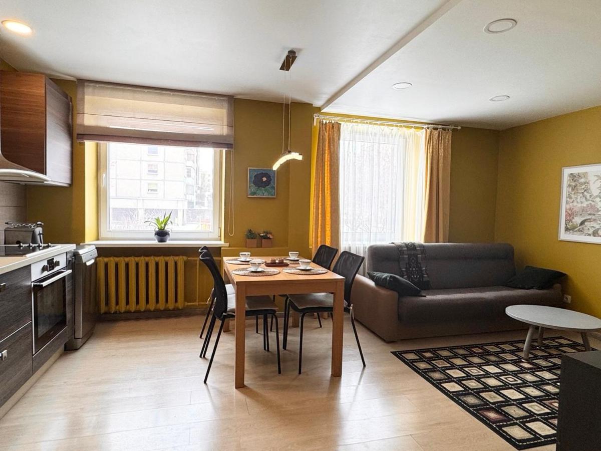Artist's Apartment - Near City Center - Ferienwohnung Vilnius
