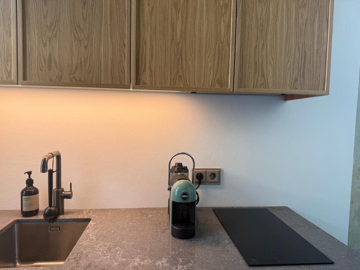 Stylish Apartment in Historic Villa Doll, City Center - Chambres d'hôtes Viljandi