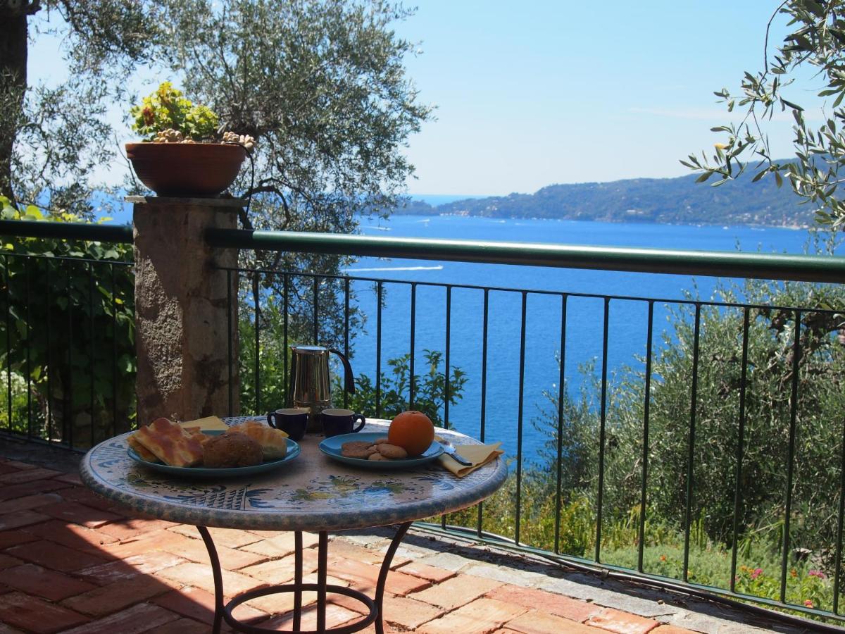 Il Frantoio di Pietro - B&B Zoagli