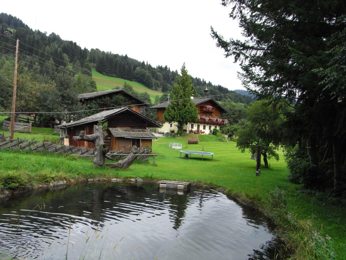 Bauernhof Auhof - B&B Wagrain