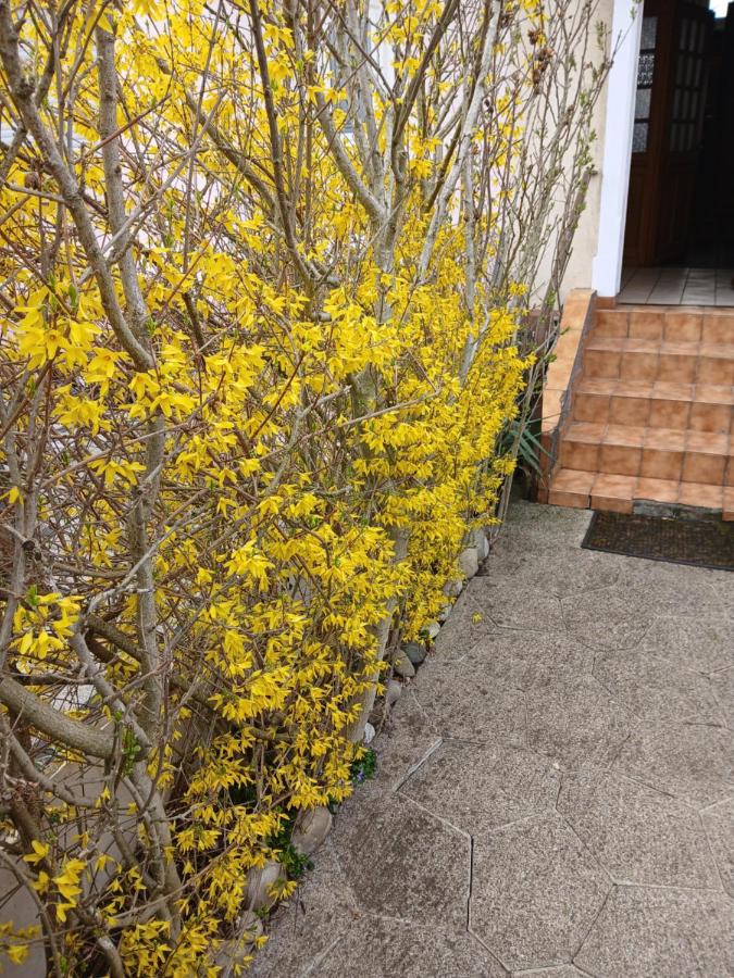 Liberation - B&B Mulhouse