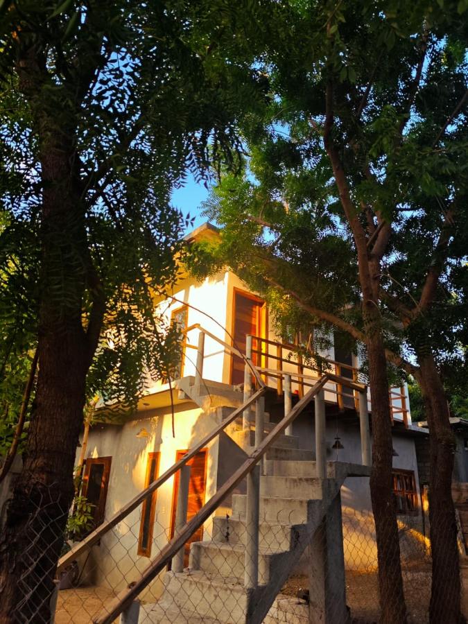 Casa Momo Playa Zipolite Oaxaca - B&B Zipolite