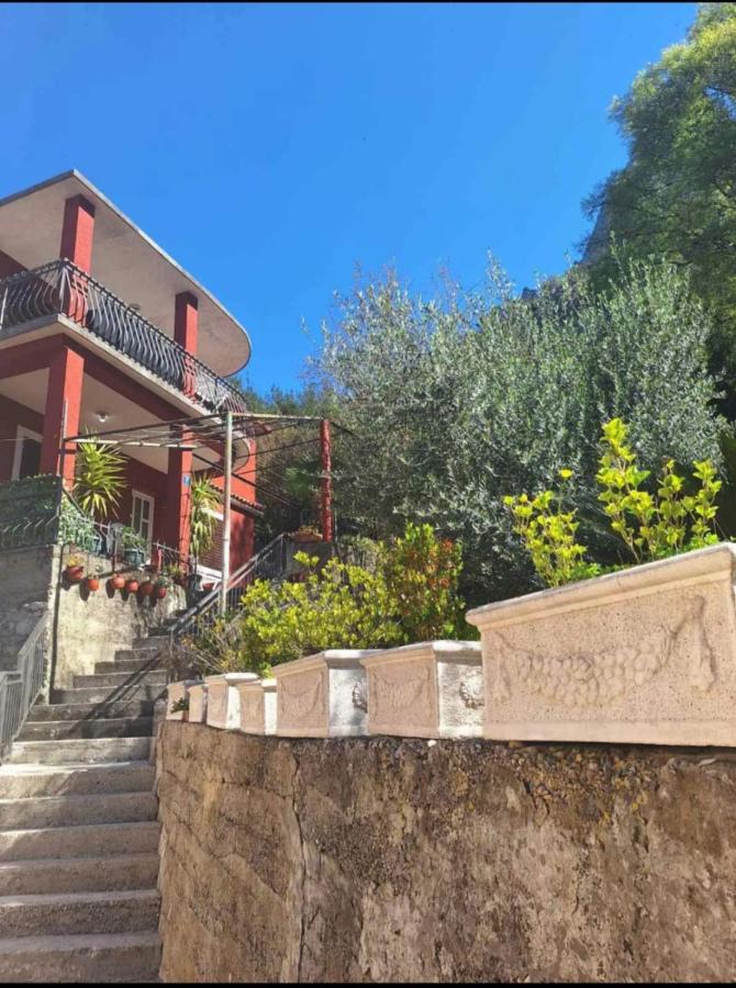 Red House Apartment - Chambres d’hôtes Kotor