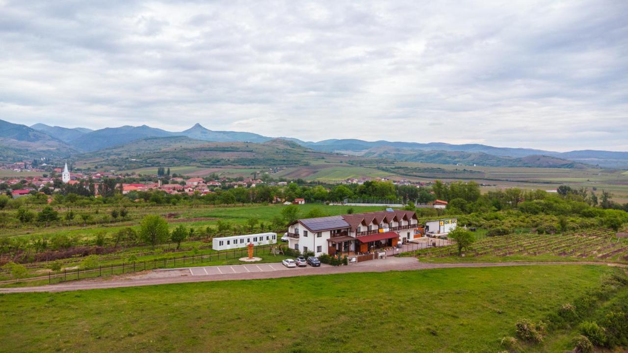 Pensiunea Casa Negrea - B&B Alba Iulia