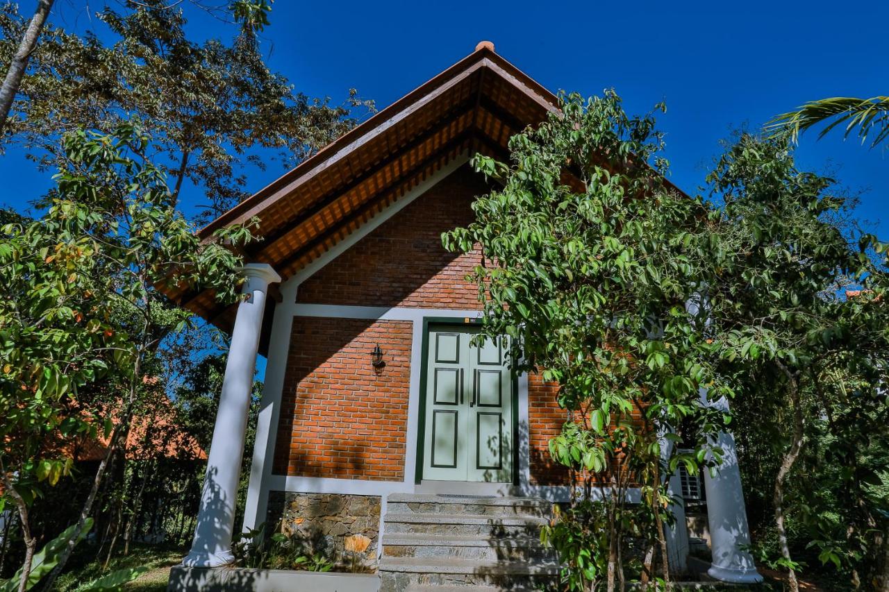 CeyAura Mirissa Eco Lodge - Chambres d'hôtes Mirissa city