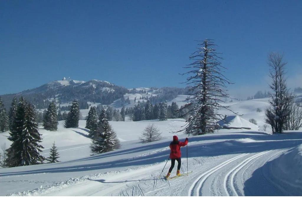 Chalet de vacances Col de la Faucille - B&B Mijoux