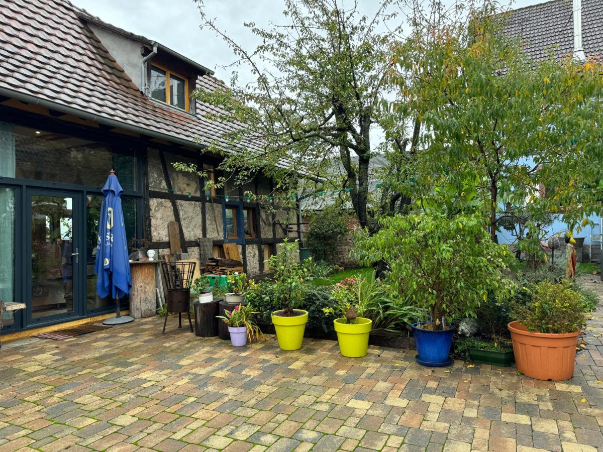 Le Refuge du 55 - Chambres d’hôtes Epfig