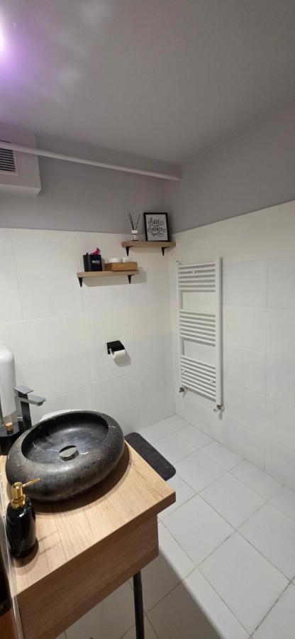 Zorilor Cactus Apartment - B&B Cluj-Napoca