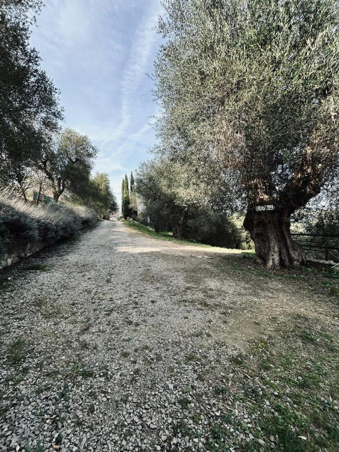 Maison Lia Tuscan Countryside - Ferienwohnung Montegiovi