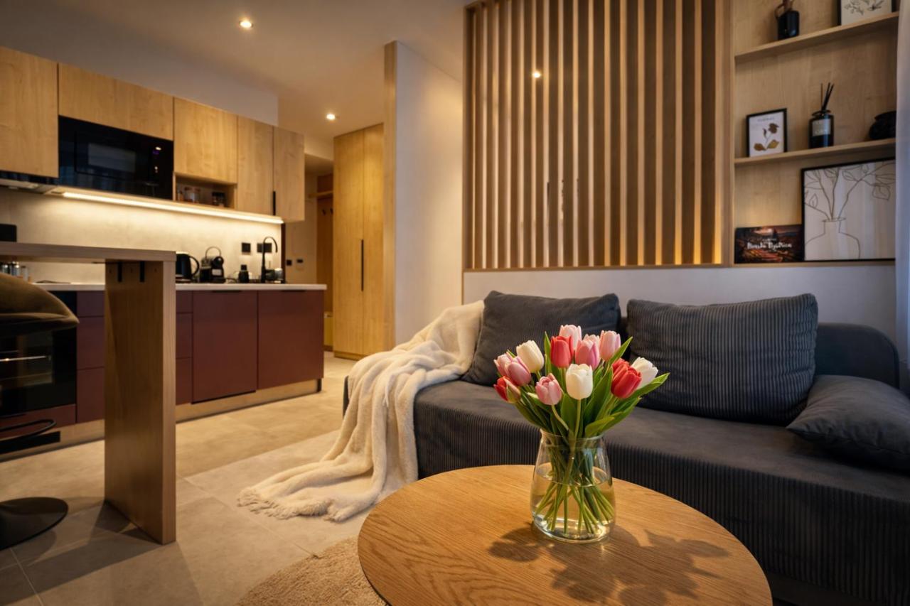 Black Lotus 4 I City Centre I Free Parking l 24hr Access - B&B Banská Bystrica