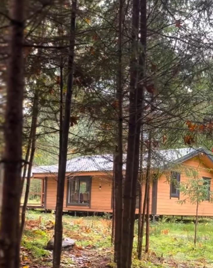 Casa de 2 dormitorios