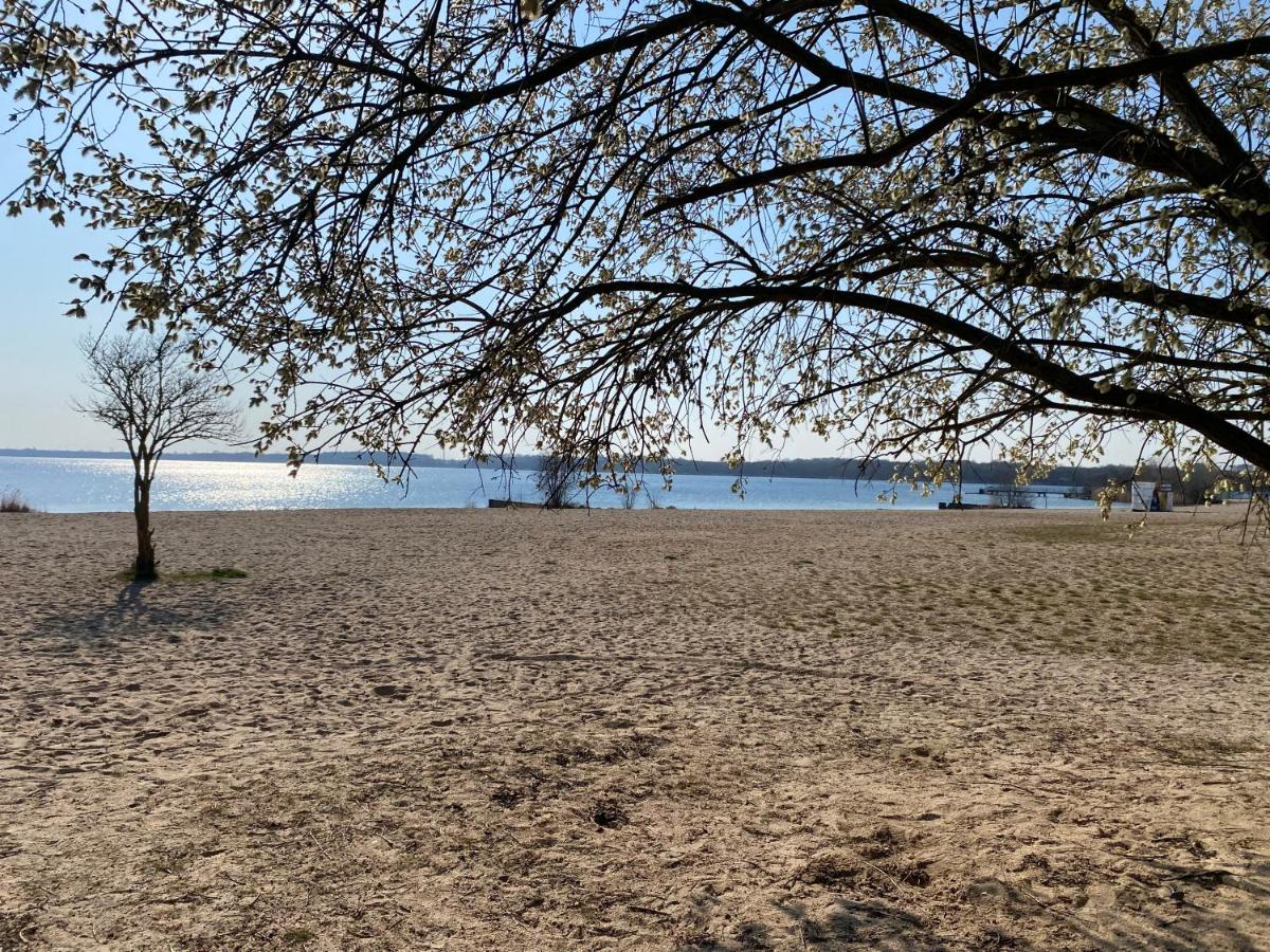 SeeZauber- gemütliche Ferienwohnung, Privatparkplatz, Cospudener See - B&B Markkleeberg