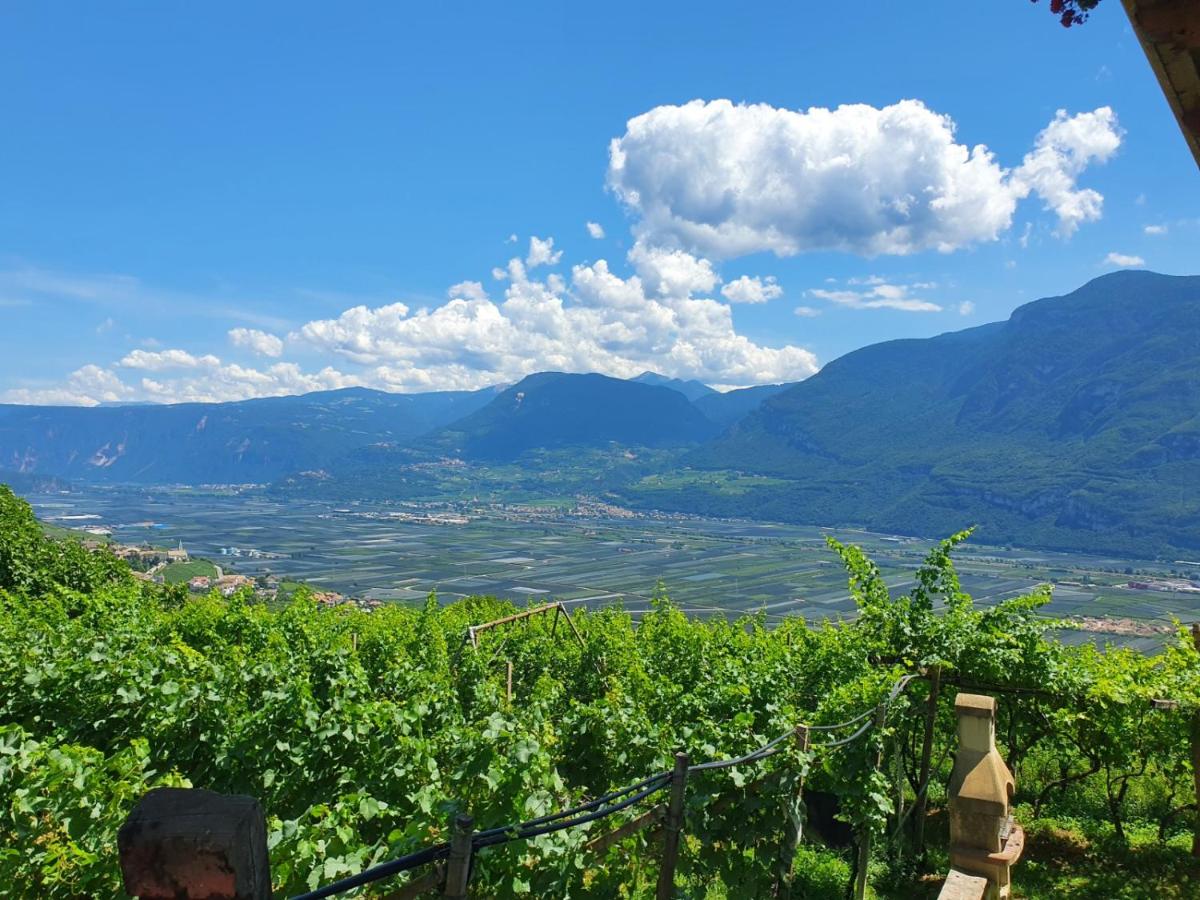 Voldersberghof Lagrein - B&B Cortaccia sulla Strada del Vino