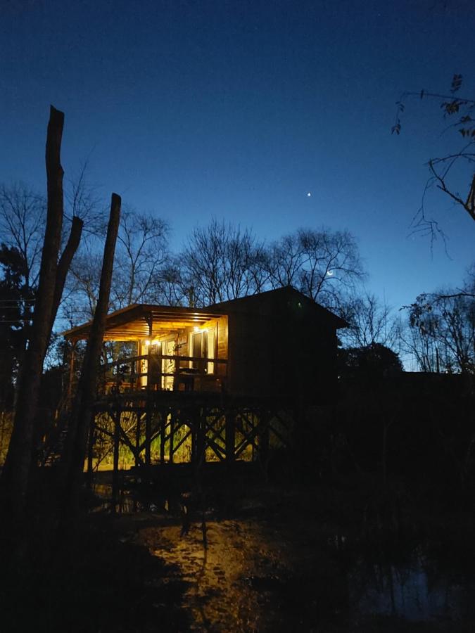 Cabañas Amo Río - Delta - B&B Tigre