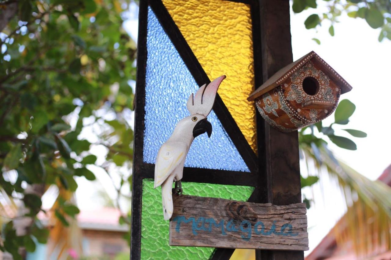 Casa Mamagaia Atins - B&B Atins