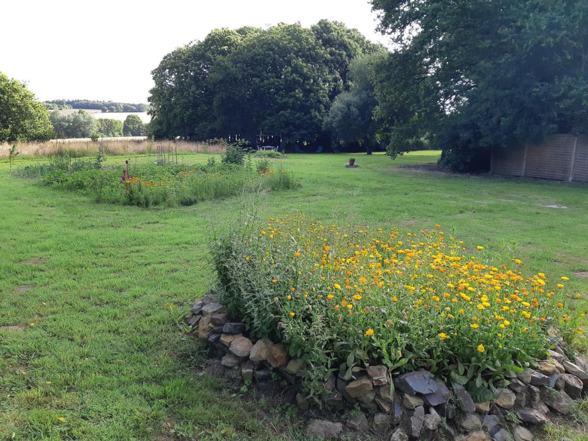 KerAwen Gîte en Brocéliande - B&B Mohon