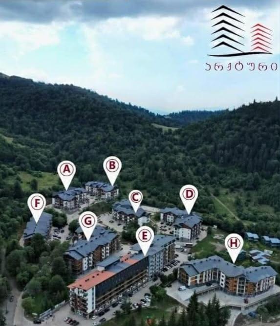 Didveli Residence H66 - B&B Bakuriani