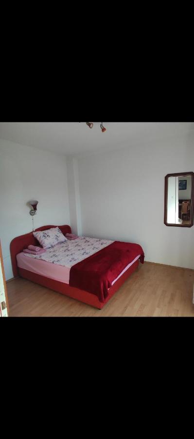 Apartman Janković - Ferienwohnung Soko Banja