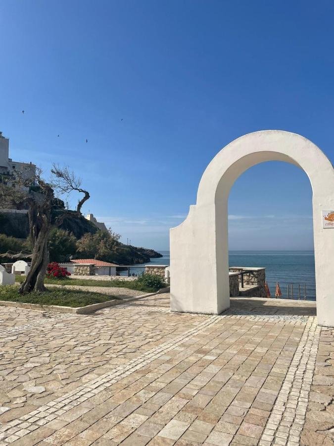 Andromeda Apartment - Bed and Breakfast Sperlonga