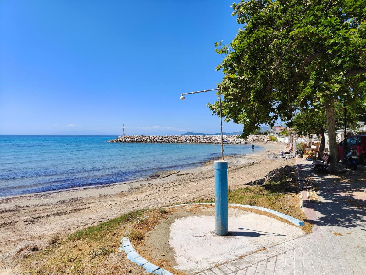 Electra's Beach Front Apartment in Nea Skioni - B&B Néa Skióni