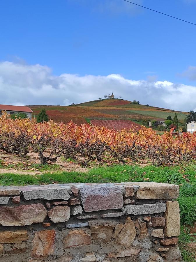 La Cazotte entre vignes et village - B&B Fleurie