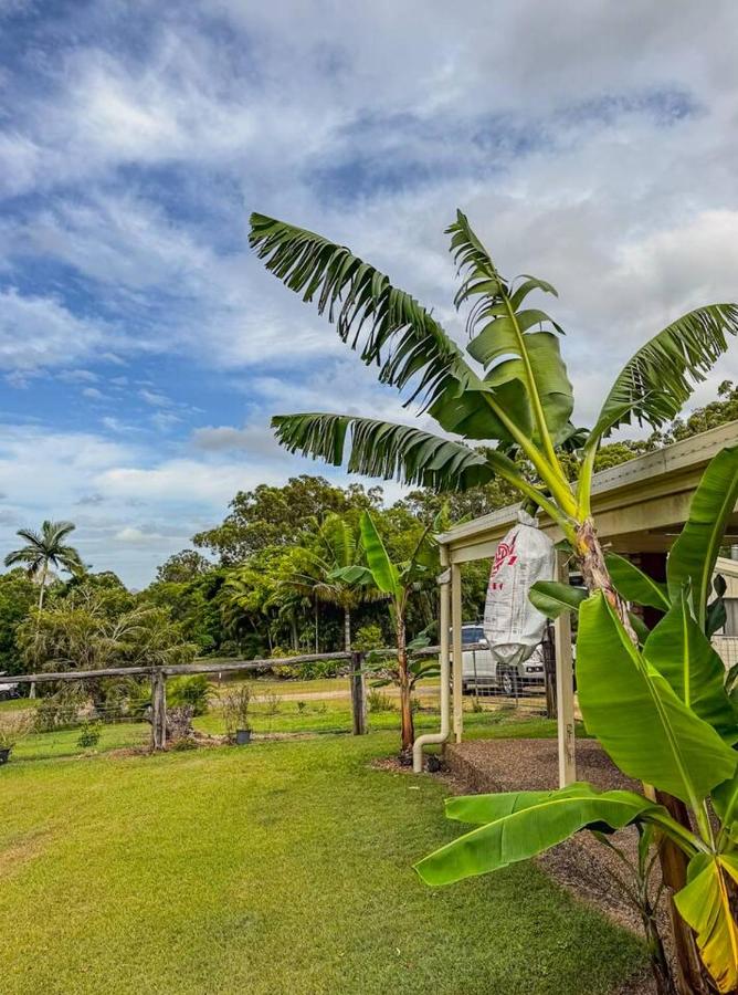 Elysium House - B&B Bondoola