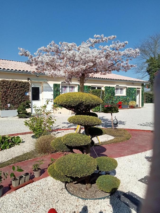 Proche St Emilion , une pause quelque part au jardin des érables et des niwakis - B&B Saint-Médard-de-Guizières
