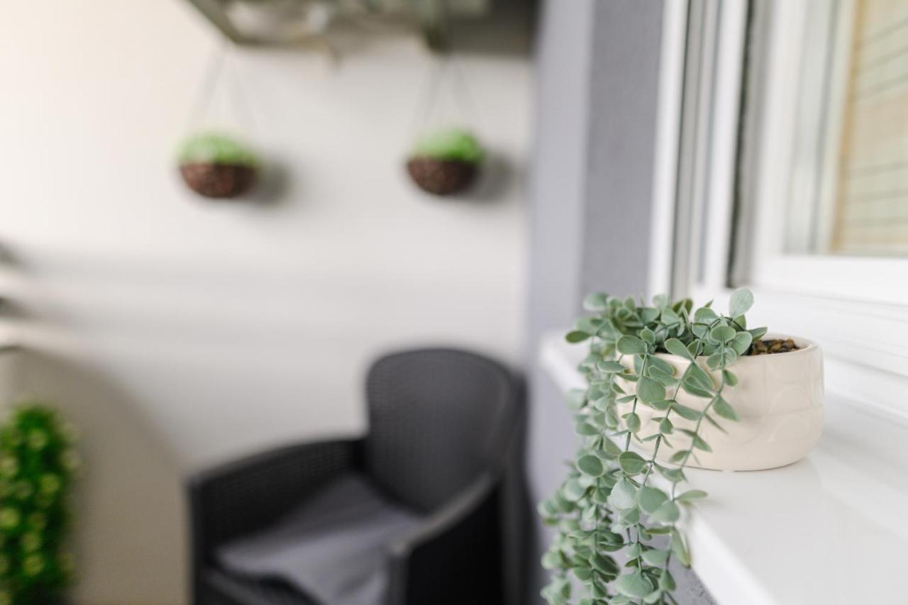 Apartmani LORENA Sokobanja, nedaleko od akvaparka - B&B Soko Banja
