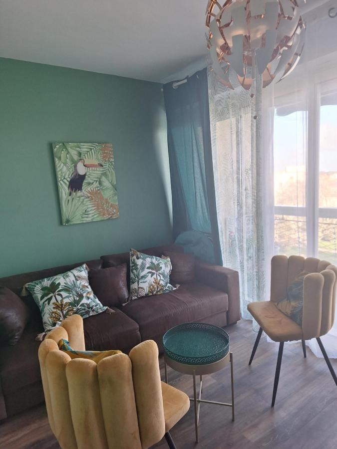 Les perroquets - B&B Royan